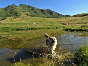 Anello con tris di cime, Avaro, Tribortoi, Ponteranica centr.,e Laghii di Ponteranica dai Piani Avaro il 1 ag.2020- FOTOGALLERY